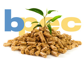 Biomass Wood BPEC